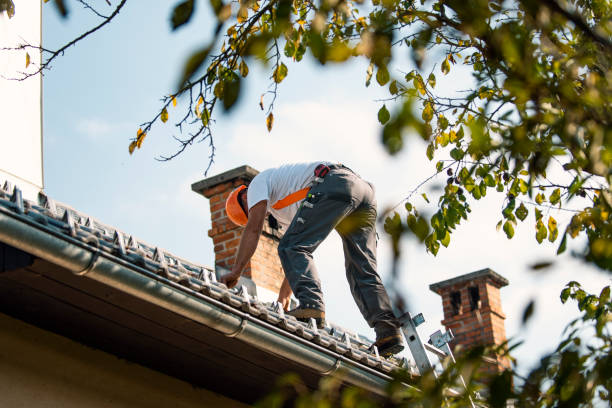 Best Local Roofing Companies  in Duryea, PA