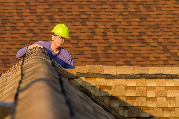 Best Roof Gutter Cleaning  in Duryea, PA